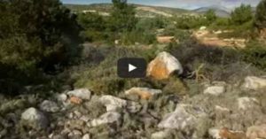 Εκπληκτικό βίντεο: «Αόρατοι» Έλληνες ελεύθεροι σκοπευτές
