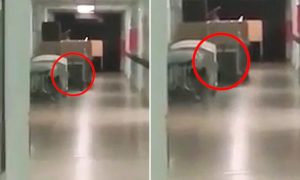 Παγκόσμιο ΣΟΚ με το Φάντασμα ενός Νεκρού Αγοριού που εμφανίστηκε σε Κρεβάτι Νοσοκομείου. Δείτε το Ανατριχιαστικό Βίντεο!