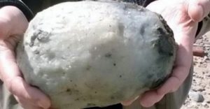 Βρήκε μια παράξενη τεράστια πέτρα στην παραλία, αλλά δεν φανταζόταν με τίποτα ότι αξίζει εκατοντάδες χιλιάδες ευρώ!
